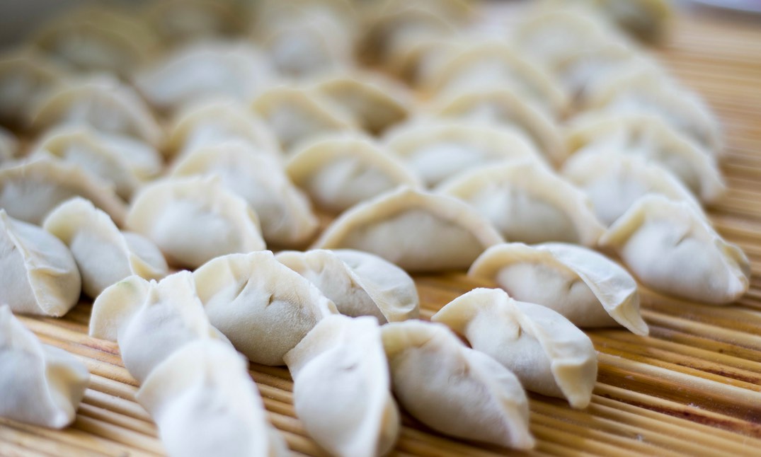 Gyoza maison dumpling venus d'Asie